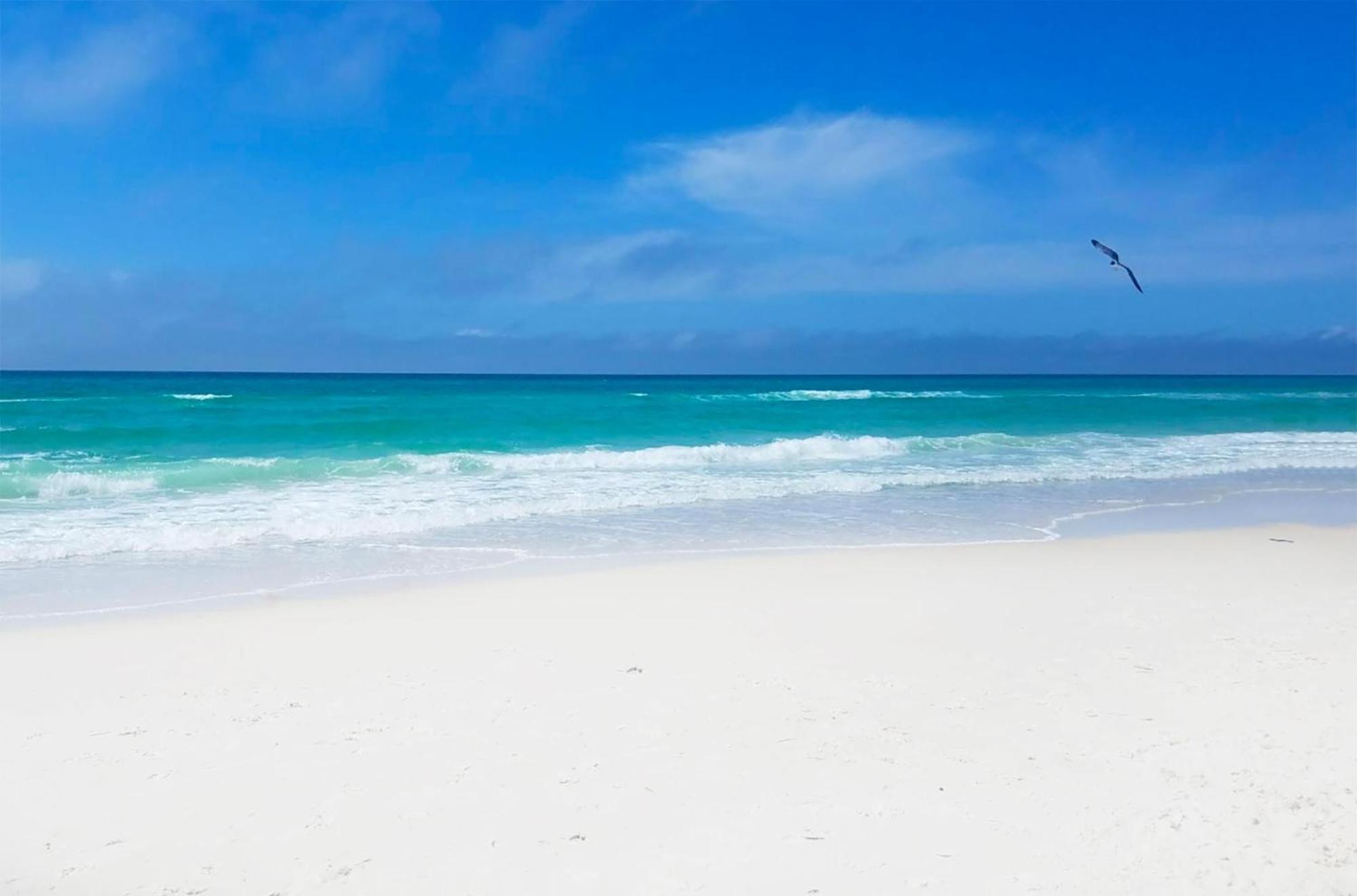 Long Beach Resort 1-105 Panama City Beach Luaran gambar